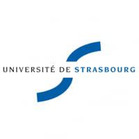 Université de Strasbourg Faculté de Médecinelogo